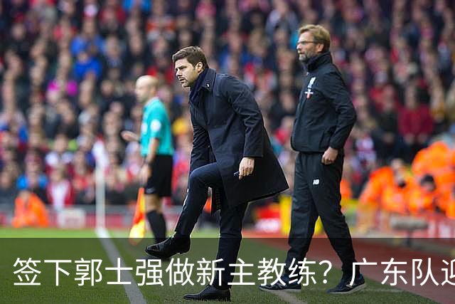 签下郭士强做新主教练？广东队迎来换帅机会，杜锋有望执教国家队